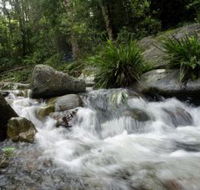 Washpool National Park - Accommodation Mooloolaba