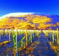 Surveyors Hill Winery - Accommodation Mooloolaba