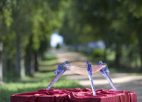 Lillico VIC Accommodation Mooloolaba