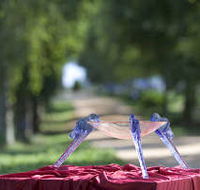 Lillico Glass Studio - Accommodation Mooloolaba