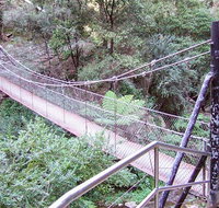 Jenolan River walking track - Accommodation Mooloolaba