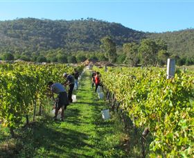 Savina Lane Premum Wines - Accommodation Mooloolaba 1