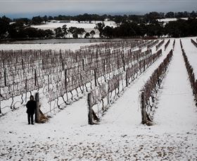 Savina Lane Premum Wines - Accommodation Mooloolaba 2