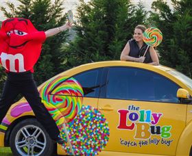 The Lolly Bug - Accommodation Mooloolaba 0