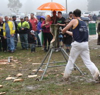 Lockyers Road Walking Track - Accommodation Mooloolaba