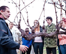 Varias Restaurant And Conference Centre Incorporating Banca Ridge Winery Cellar Door - Accommodation Mooloolaba 3