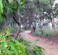 Mount Mutton Walking Trail - Accommodation Mooloolaba