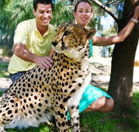 National Zoo  Aquarium - Accommodation Mooloolaba