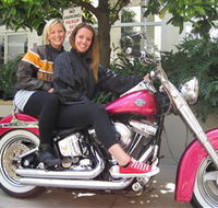 Wild Ride Harley and Motorcycle Tours - Accommodation Mooloolaba