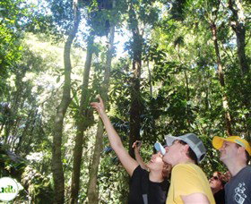 Understand Down Under - Accommodation Mooloolaba 5