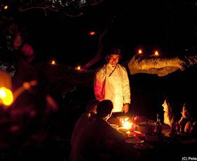 Understand Down Under - Accommodation Mooloolaba 8