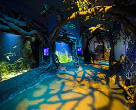 SEA LIFE Sydney Aquarium - Accommodation Mooloolaba 2