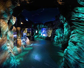 SEA LIFE Sydney Aquarium - Accommodation Mooloolaba 3