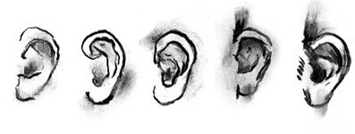 DAB LAB Research Gallery - Accommodation Mooloolaba 0