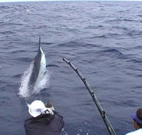 Amokura Charters - Accommodation Mooloolaba