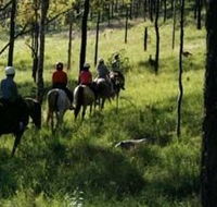 Hunter Valley Horse Riding and Adventures - Accommodation Mooloolaba