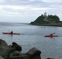 Newcastle Kayak Tours - Accommodation Mooloolaba