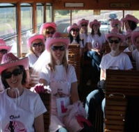 Newcastles Famous Tram - Accommodation Mooloolaba