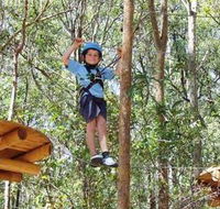 TreeTops Newcastle - Accommodation Mooloolaba