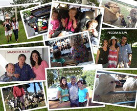 The NSW Cheese Tour - Accommodation Mooloolaba 0