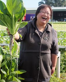 TCP Day Tours - Accommodation Mooloolaba 3