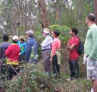 Boronia Tours - Accommodation Mooloolaba
