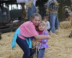 Golden Ridge Animal Farm - Accommodation Mooloolaba 2