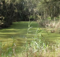 Second Ponds Creek walk - Accommodation Mooloolaba