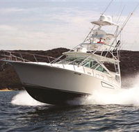 1300 Big Fish - Accommodation Mooloolaba