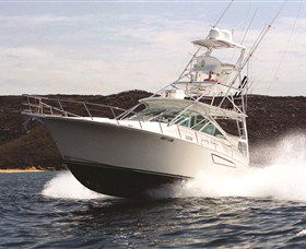 1300 Big Fish - Accommodation Mooloolaba 0