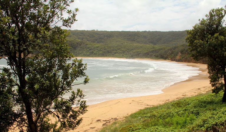 Bouddi NSW Accommodation Mooloolaba