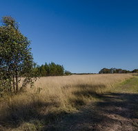 Scheyville horse riding trails - Accommodation Mooloolaba