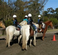 Darkes Forest Riding Ranch - Accommodation Mooloolaba