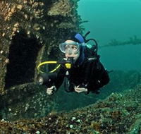 Ex-Hmas Adelaide Dive Site - Accommodation Mooloolaba
