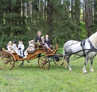 Classic Carriage Drives - Accommodation Mooloolaba