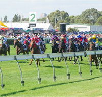 Morphettville Racecourse - Accommodation Mooloolaba
