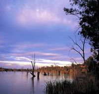 Loch Luna Game Reserve and Moorook Game Reserve - Accommodation Mooloolaba
