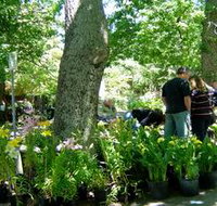 The Stirling Market - Accommodation Mooloolaba