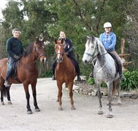 Academy of Dressage - Accommodation Mooloolaba