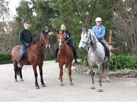 Academy Of Dressage - Accommodation Mooloolaba 0