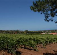 Grancari - Accommodation Mooloolaba
