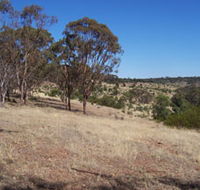 Onkaparinga River National Park - Accommodation Mooloolaba