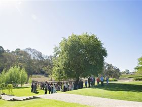 Howard Vineyard - Accommodation Mooloolaba 1