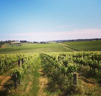 Adelaide Winemakers - Accommodation Mooloolaba