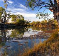 Murray River National Park - Accommodation Mooloolaba