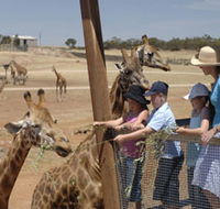 Monarto Open Range Zoo - Accommodation Mooloolaba