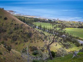 Lady Bay Beach - Accommodation Mooloolaba 1