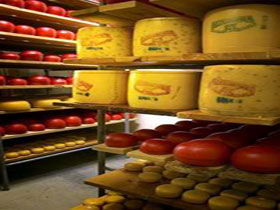 Alexandrina Cheese Company - Accommodation Mooloolaba 0