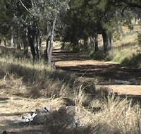 Chudleigh Park Gem Fields - Accommodation Mooloolaba