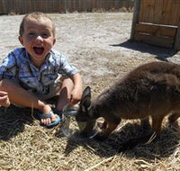 Animal Farm Goolwa - Accommodation Mooloolaba